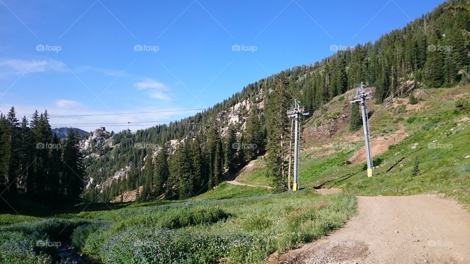 Snowbird Resort - Summer 2015. A long hike with friends in the Utah mountains at the Snowbird Resort.
