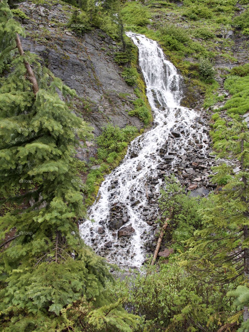 The cold waters of Vadea Falls in Crater Lake National Park look like lightening forking down the mountainside. 