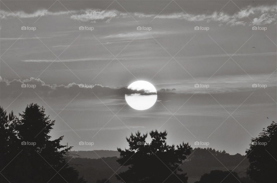 Sonnenschein hinter einer Blume