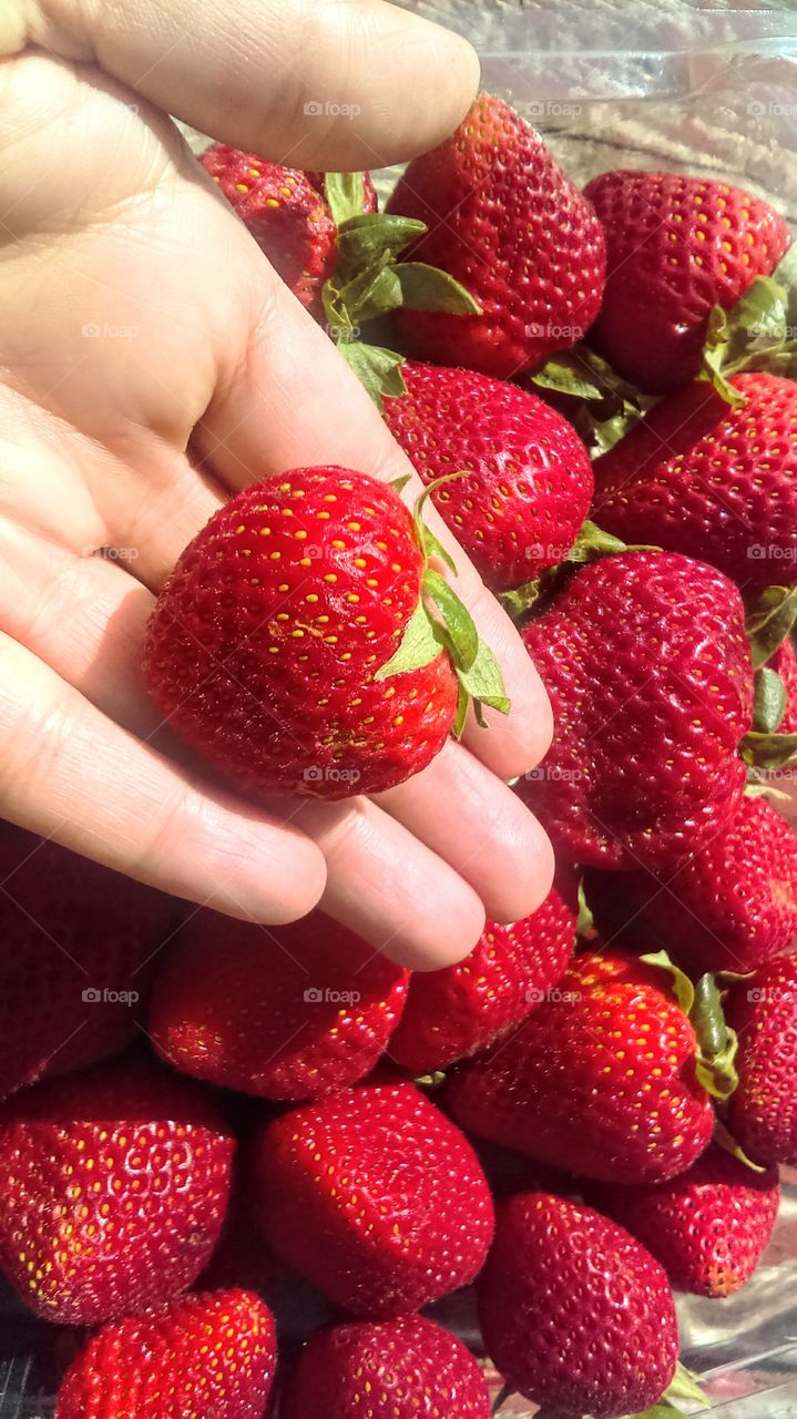 Strawberries