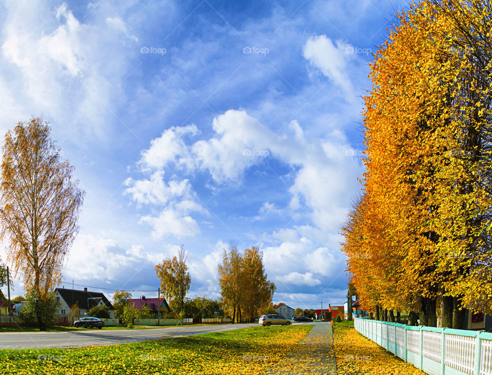 beautiful photo of the city