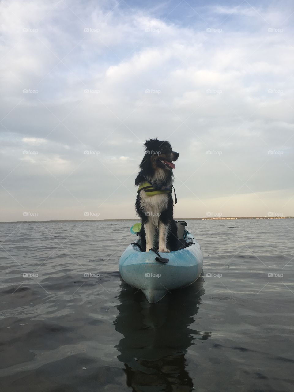 Kayaking with the dog
