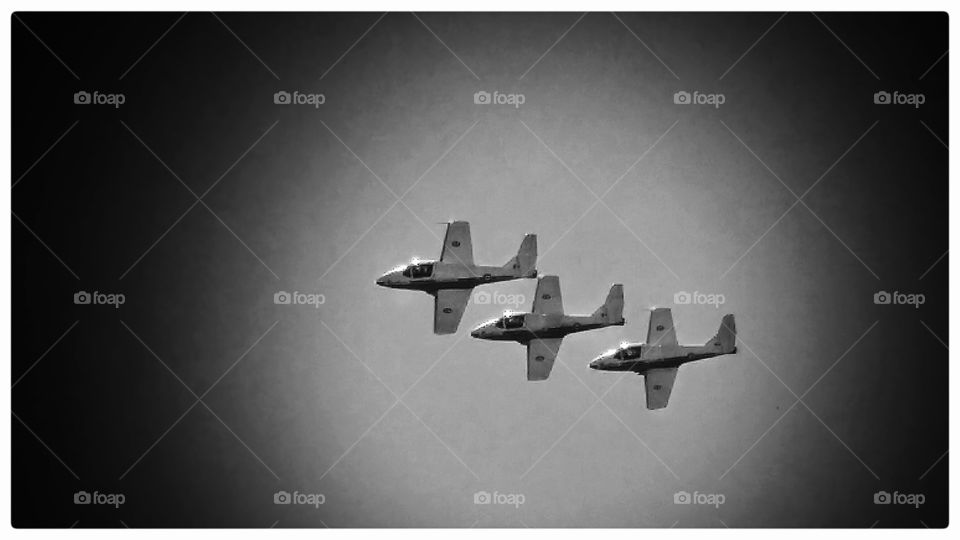 snowbirds of Canada 08