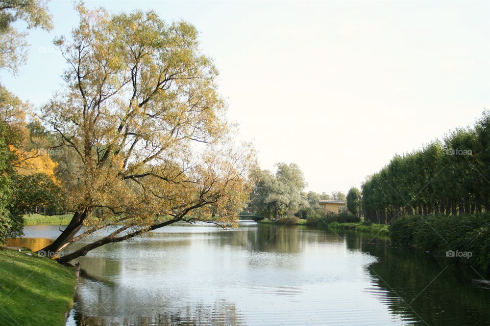 Autumn Park. Water Reflection