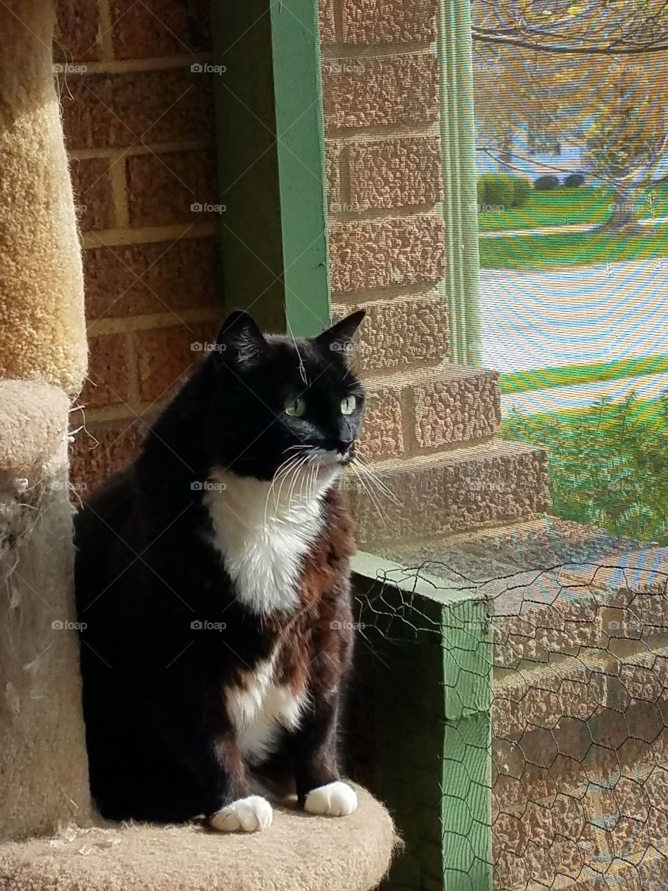 Spring on the porch