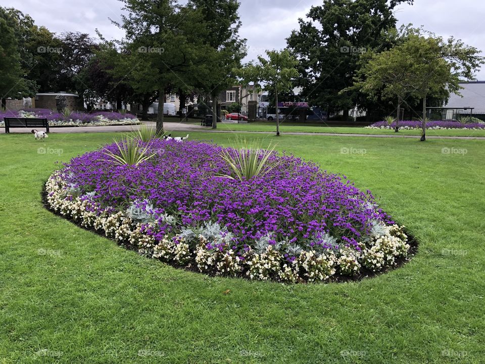 Visiting an old stomping ground in Bristol where l used to live l was impressed with this floral display.