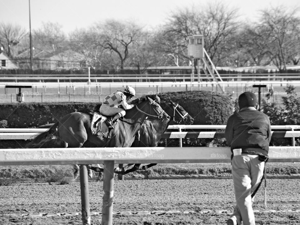 America wins on Opening Day. America, a stakes winning mare, takes the lead and wins by a nose as a stable hand looks on. Blk and white classic photo