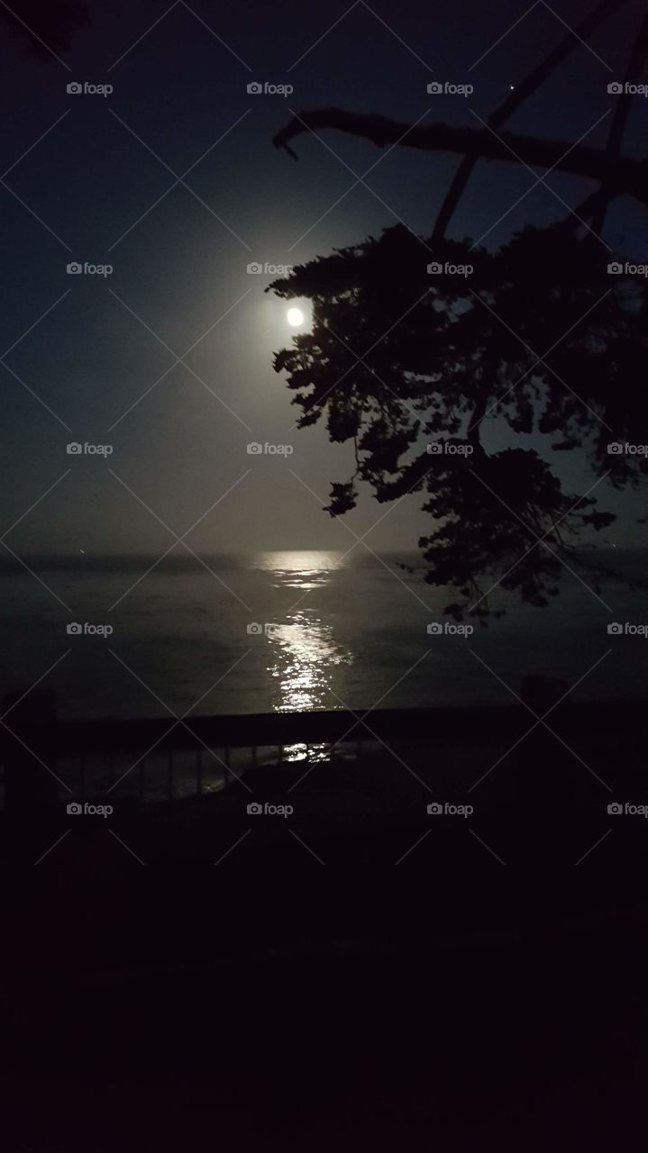 Moon, Reflection, Ocean, California, Monterey Bay