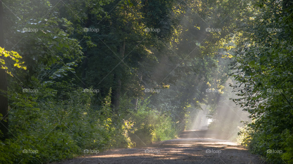 Milicz, Staw Słoneczny, Poland