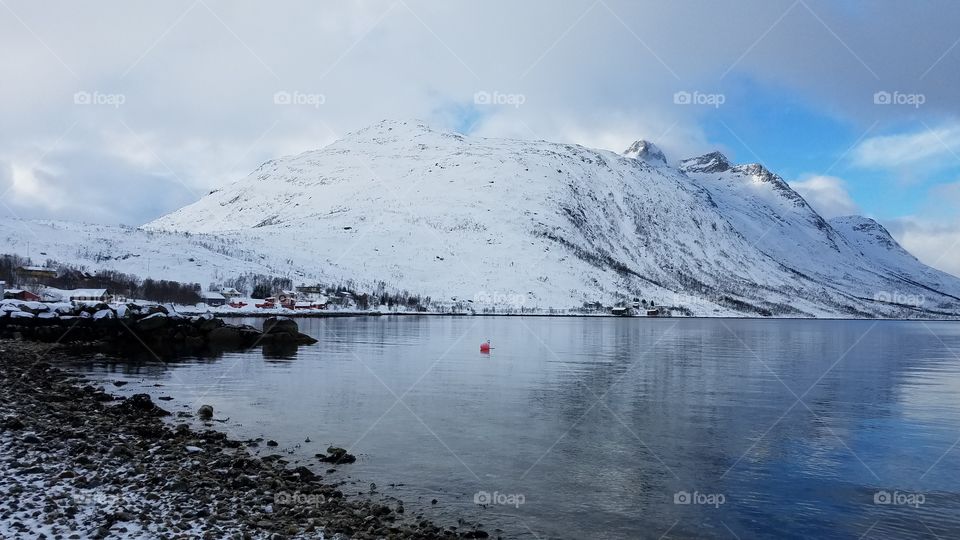 Frozen winter landscapes