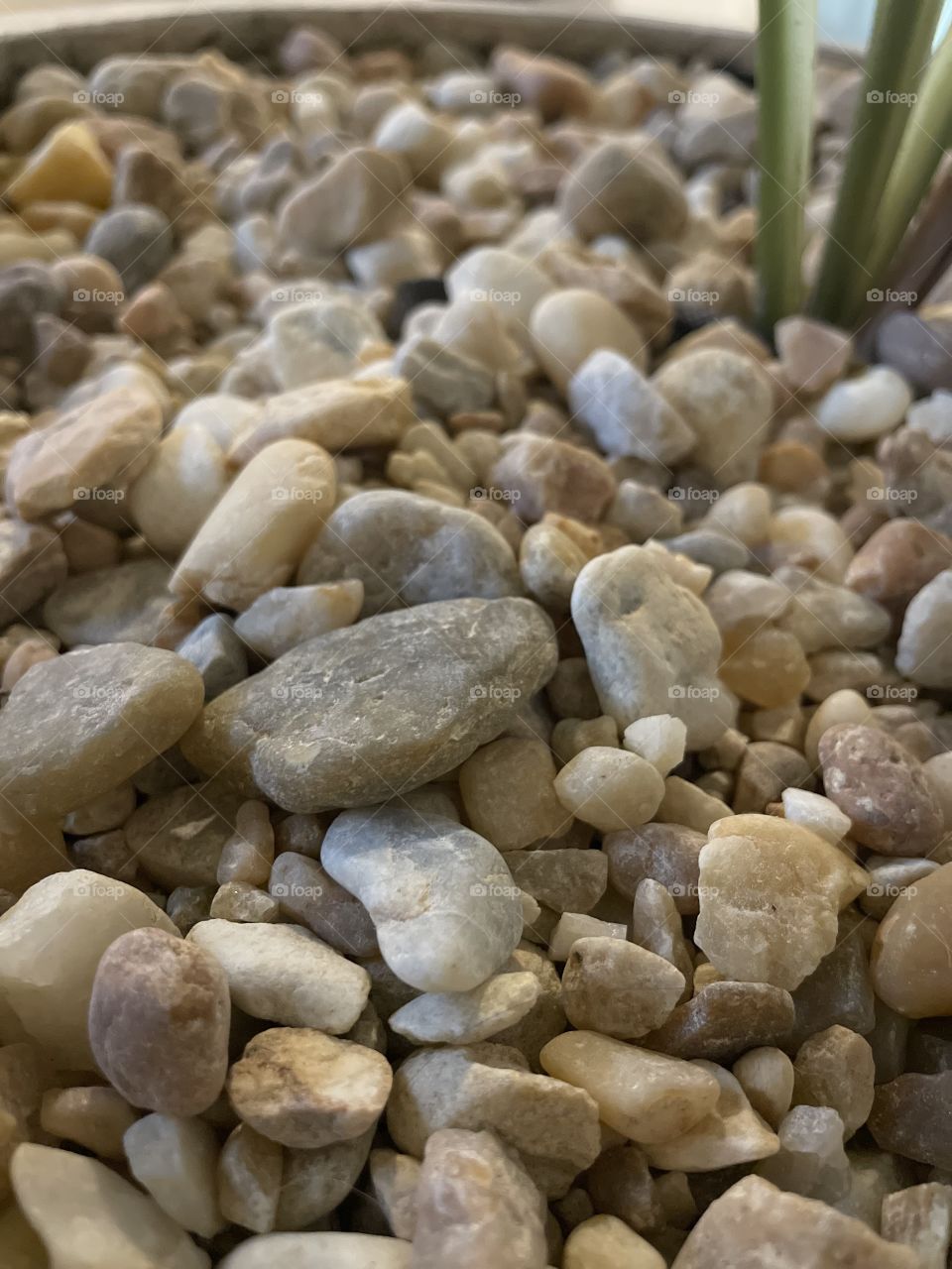 River stones