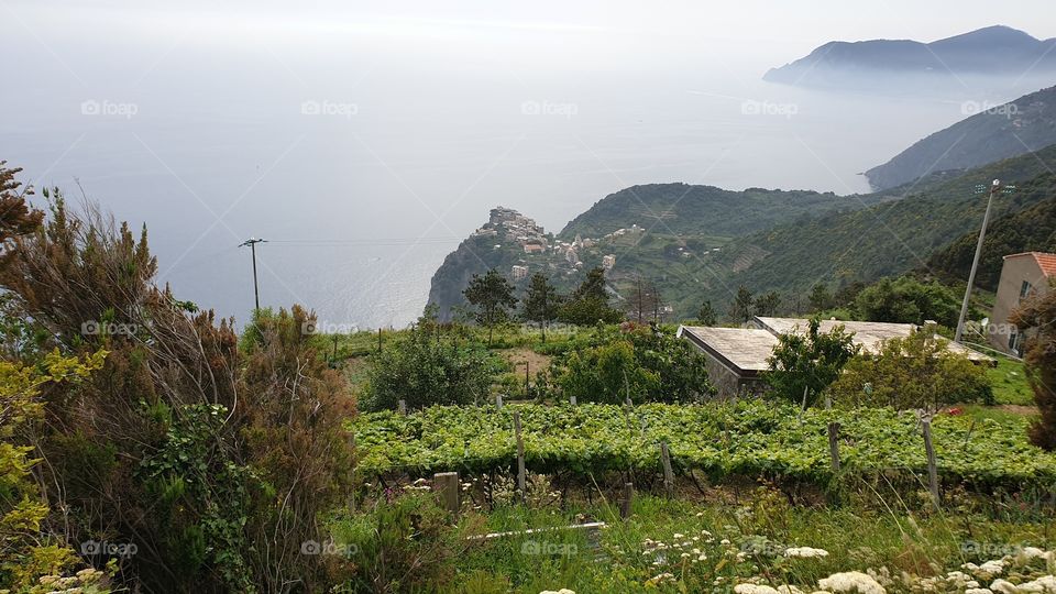 Cinque Terre, Liguria, It