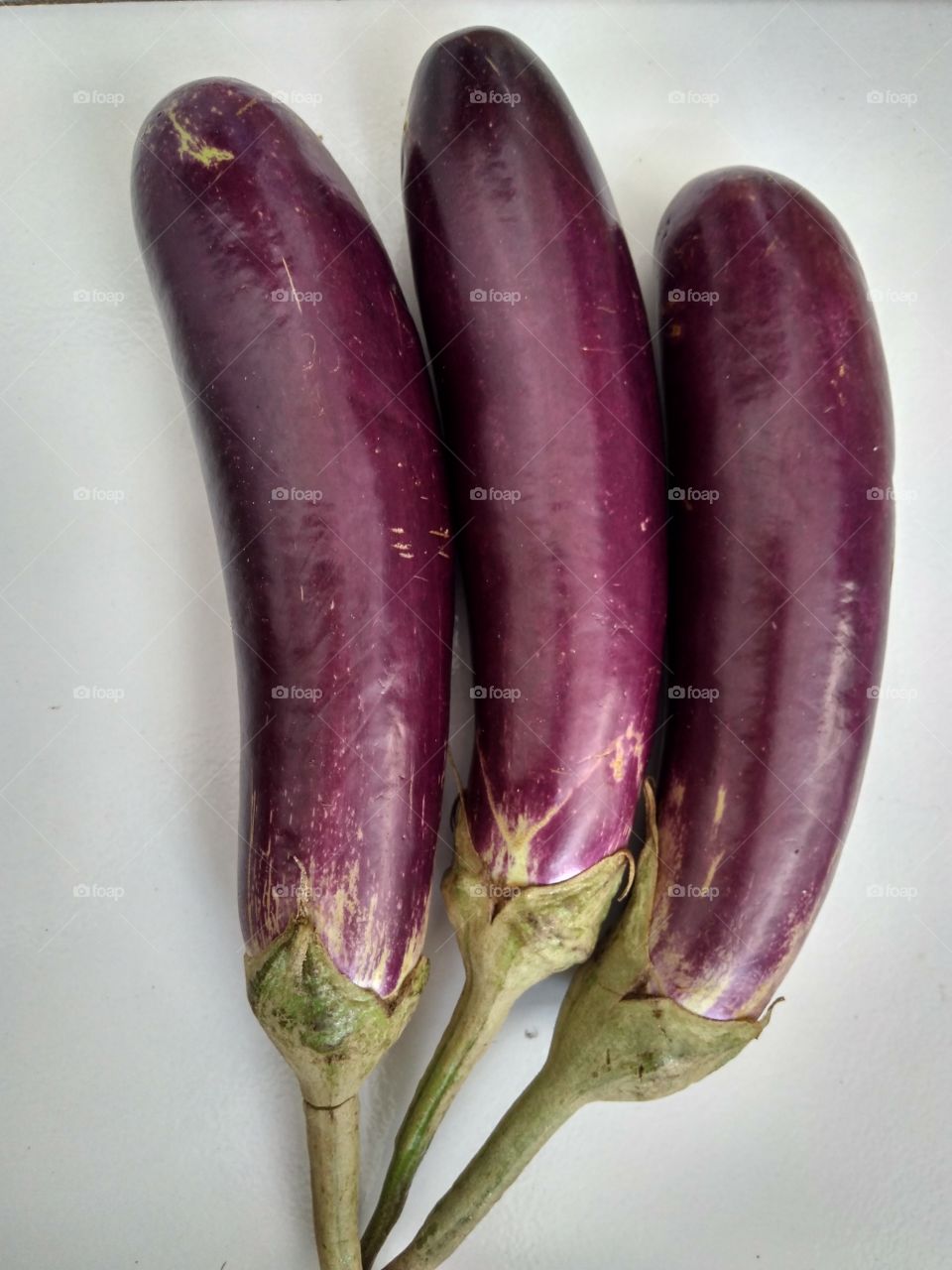 vegetable eggplant