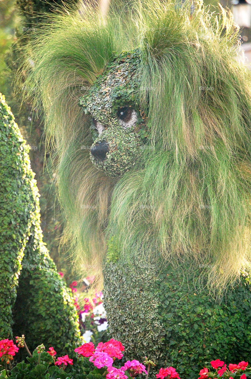 Lady and the Tramp, Topiary,  Epcot, Walt Disney world, Florida