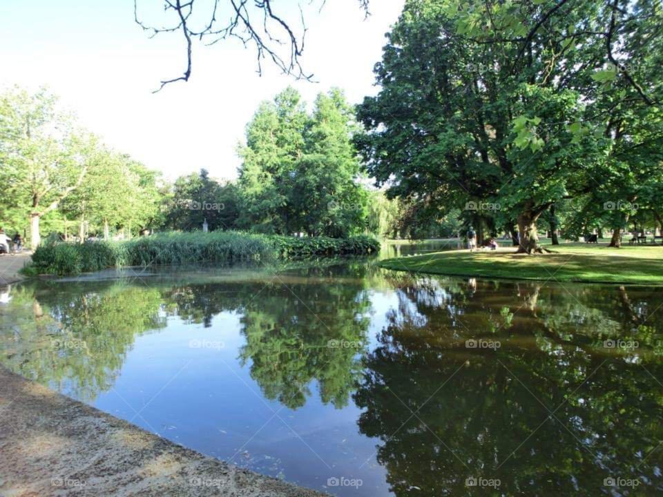 Nature, lake, tree, water