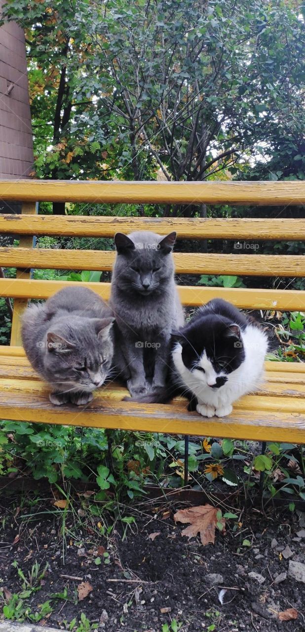 emotions series sadness