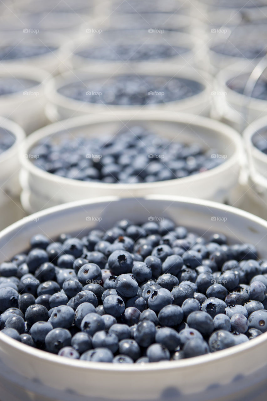 blue fruit healthy blueberries by phat59