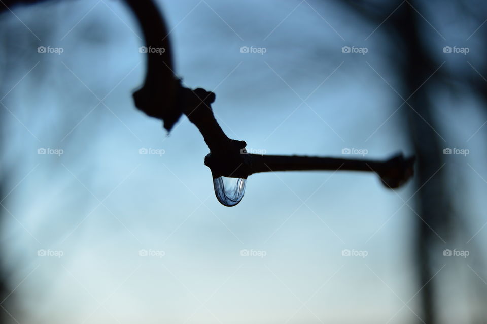 water drop