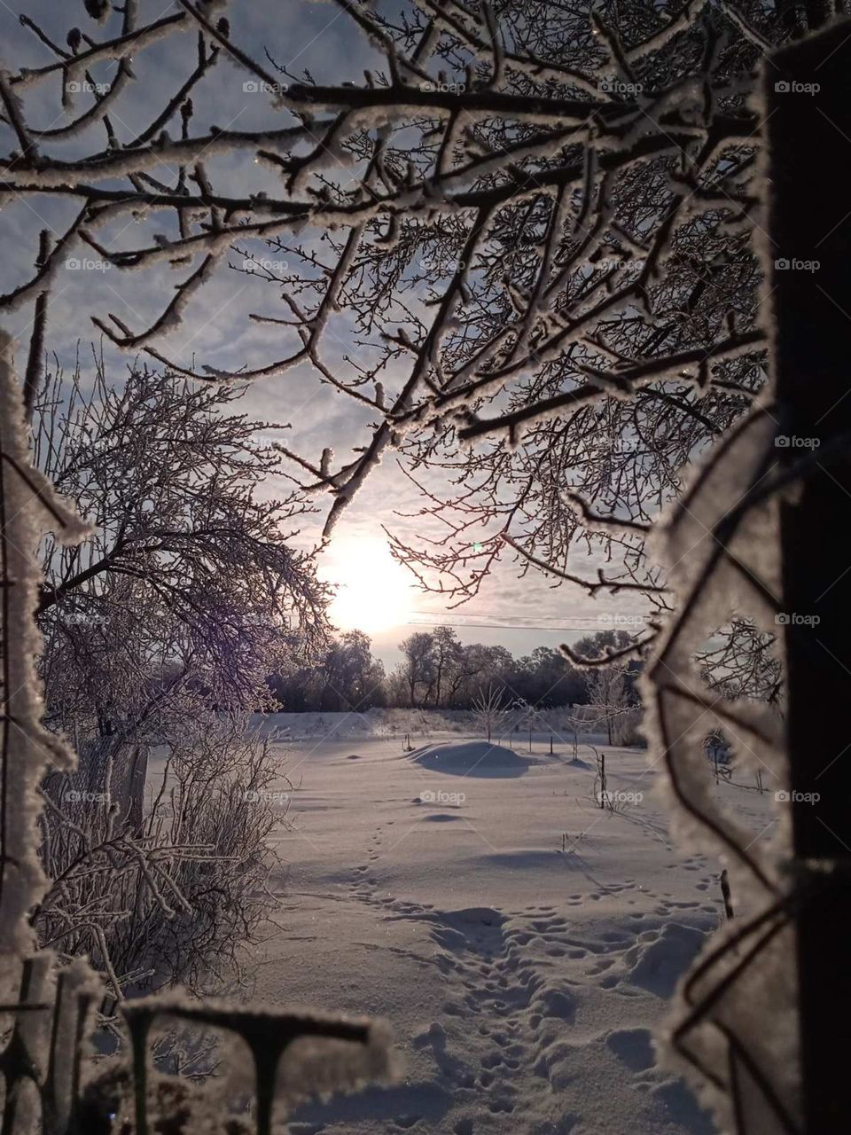 sell your first photo on foap