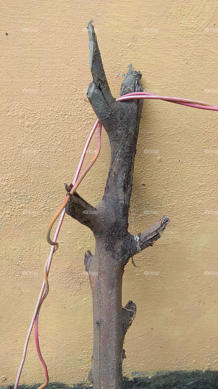 wires on wood in my house