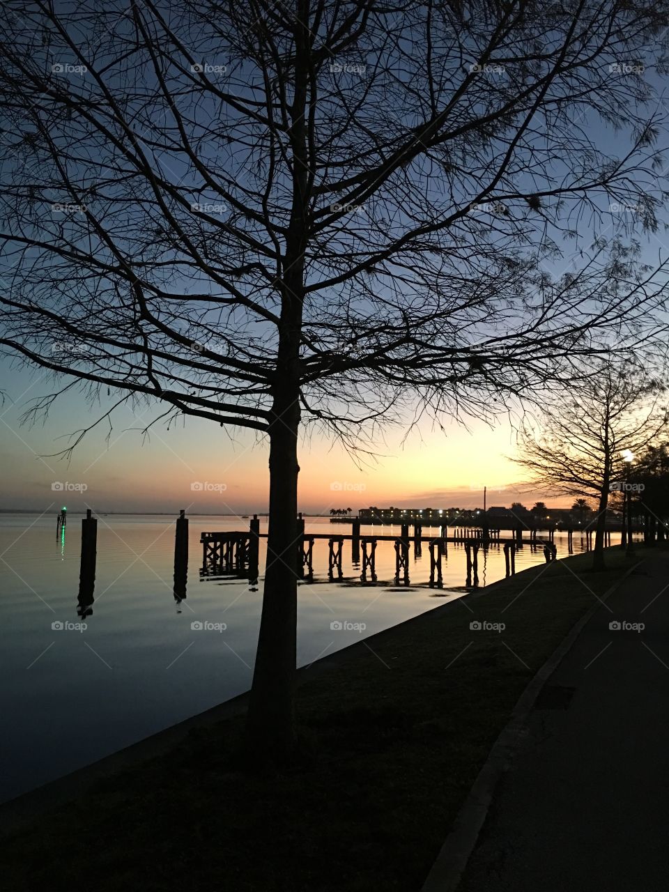 Dawn, Landscape, Tree, Sunset, Winter