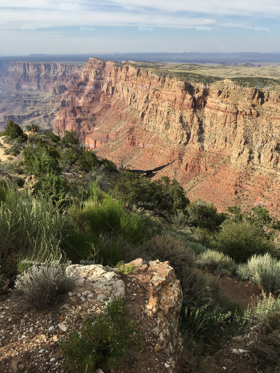 Flying over the Grand Canyon 