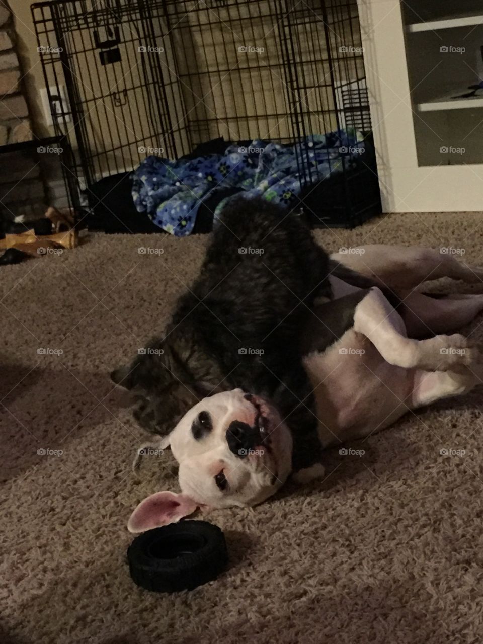 Sometimes she lets him win