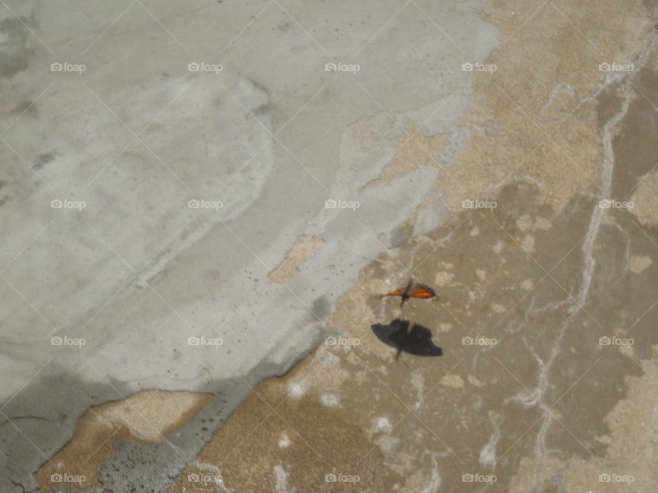 No Person, Sand, Beach, Seashore, Daylight