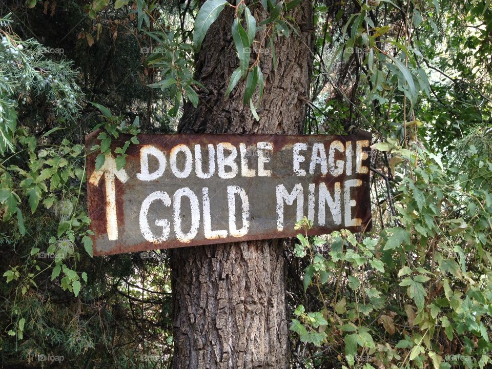 This way to the gold mine 😍