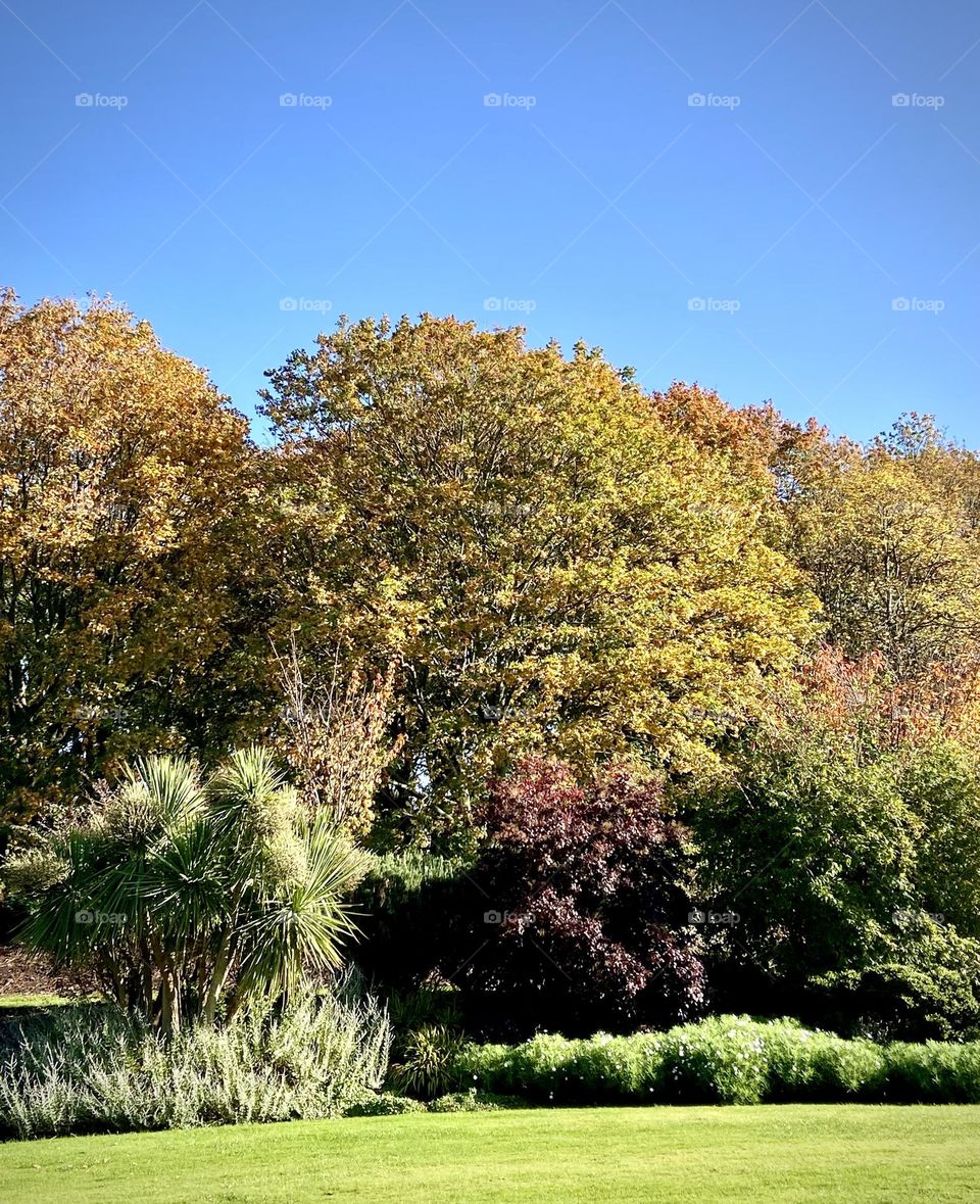 Scotland , October 2022 . 