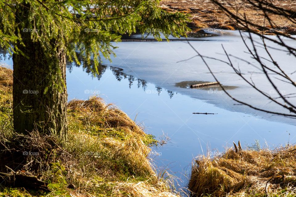 frozen lake in winter