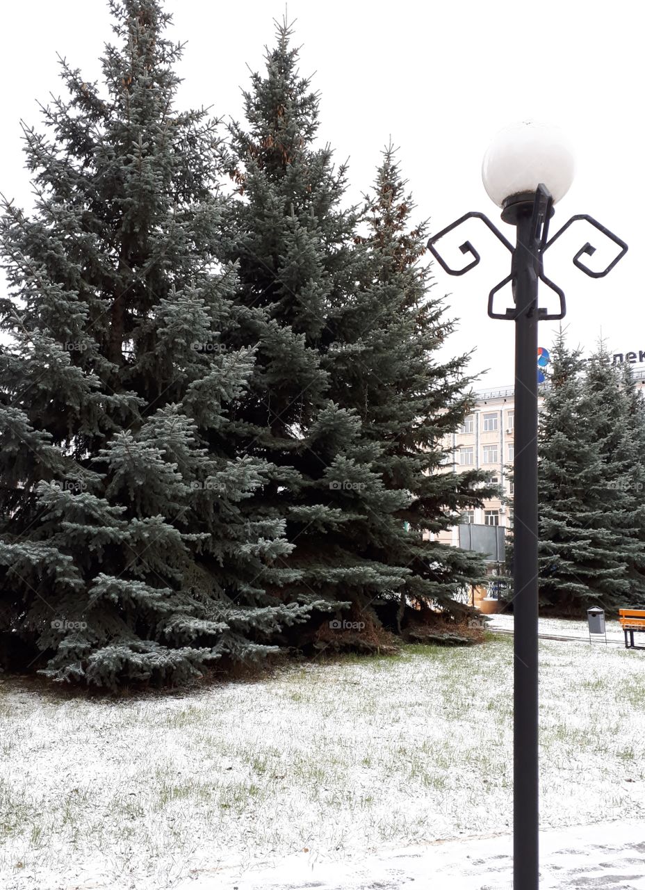 Park in the city of Cheboksary