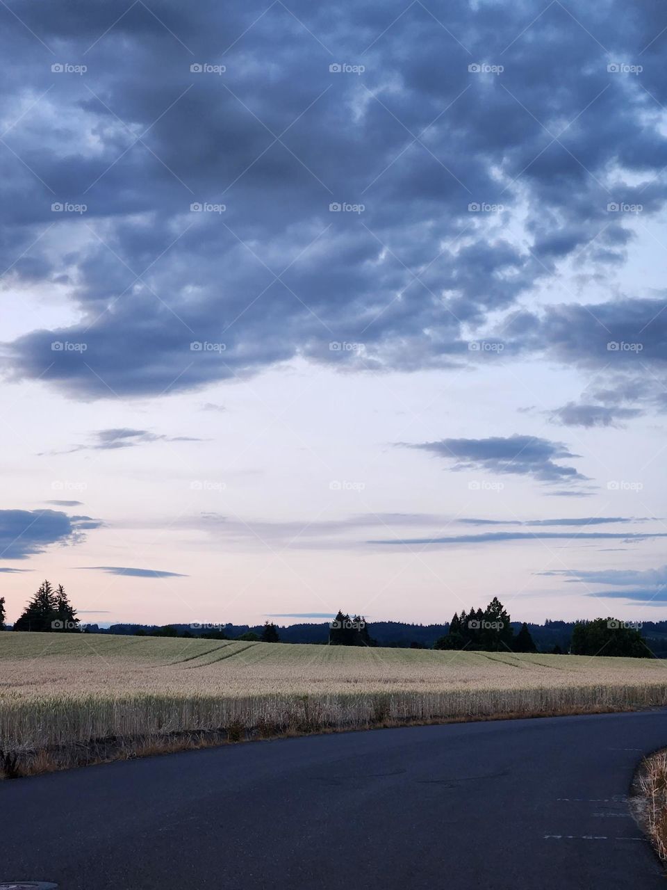 view of wheat fields and dark cloud skies driving through country road on a Summer evening in Oregon
