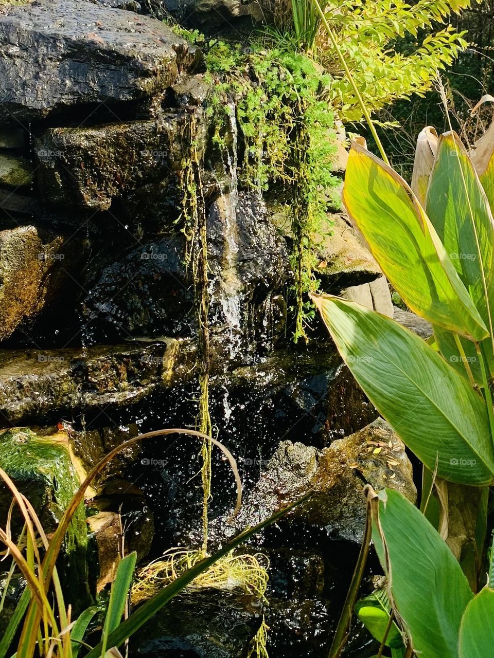 Mini waterfall 