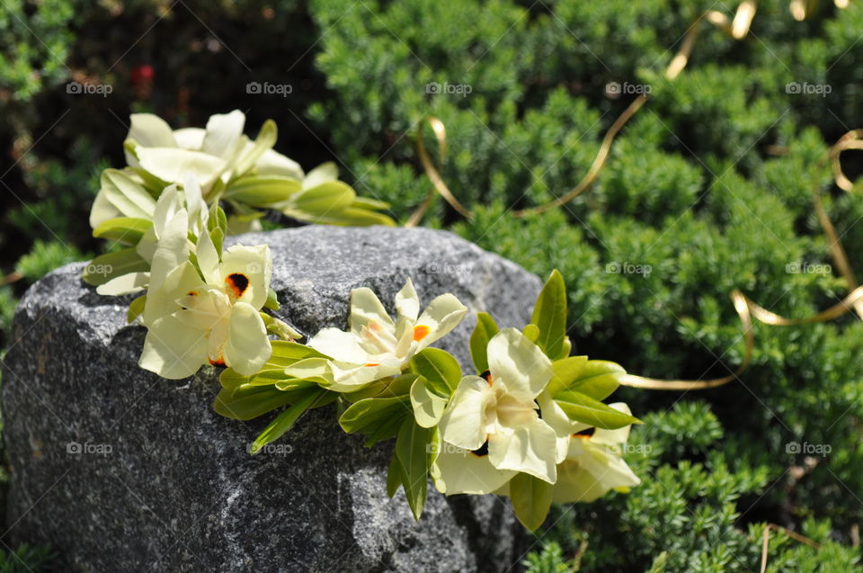 Beautiful flower crown