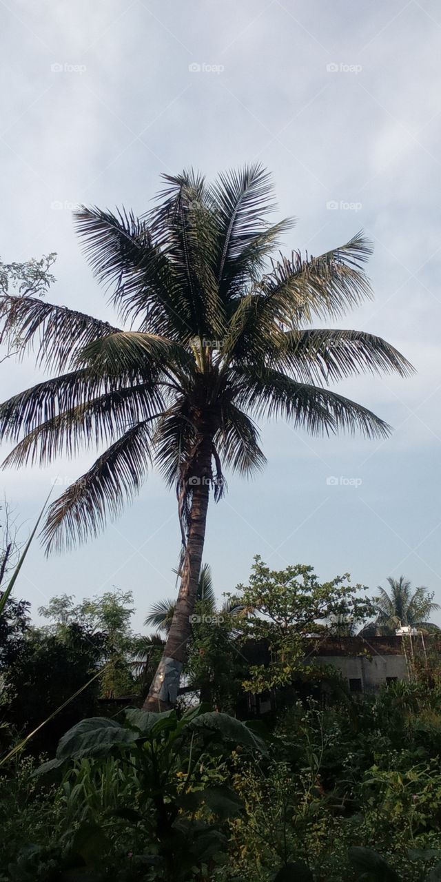 just click for madness village lover tag❤🧡💛 🔖