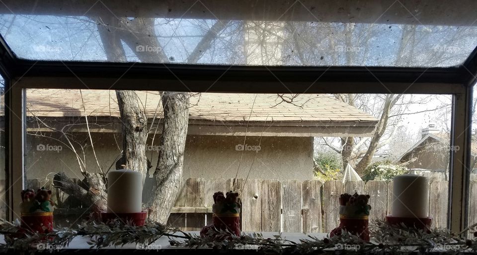 Christmas window
