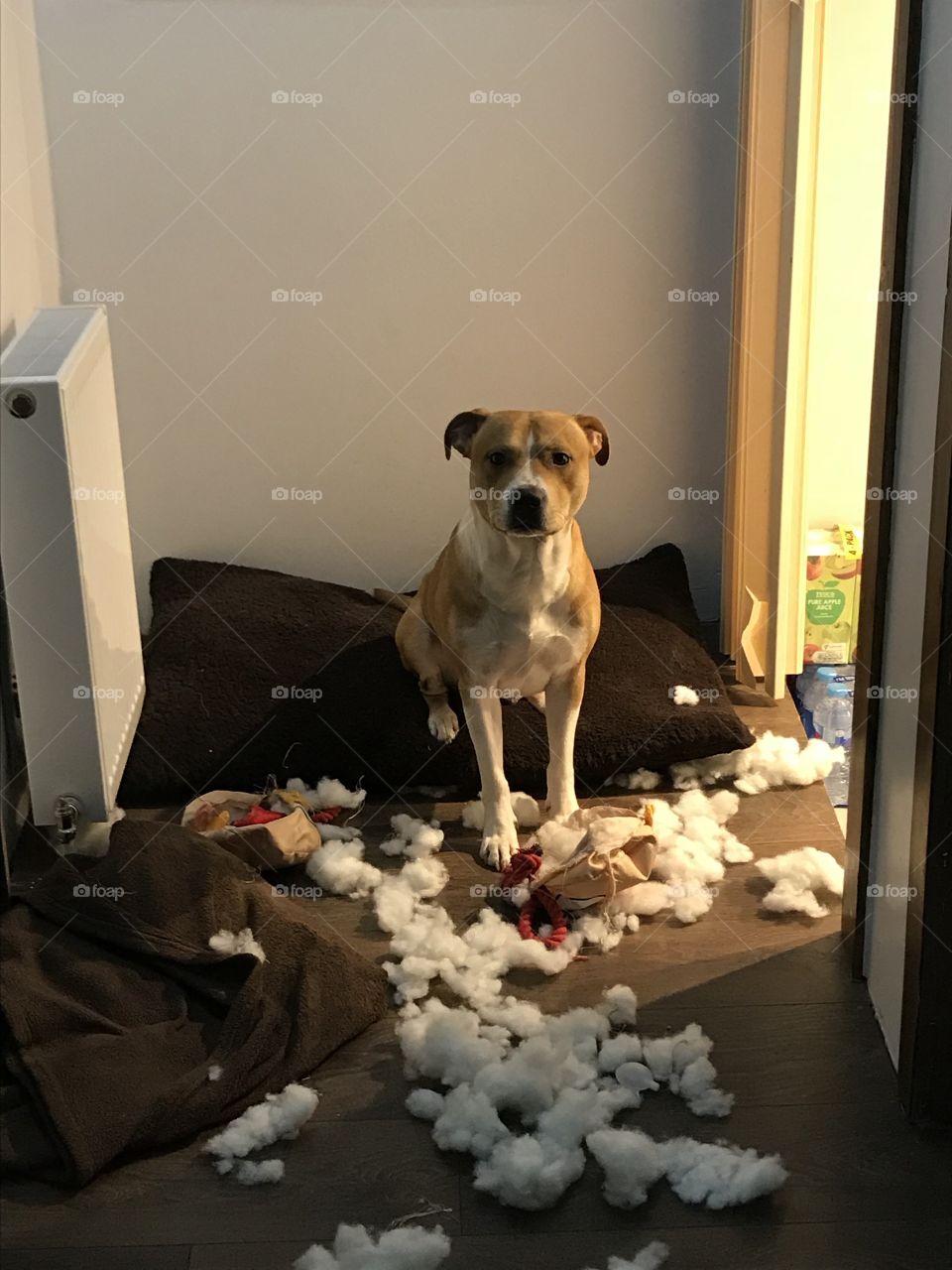 Christmas present ends good 