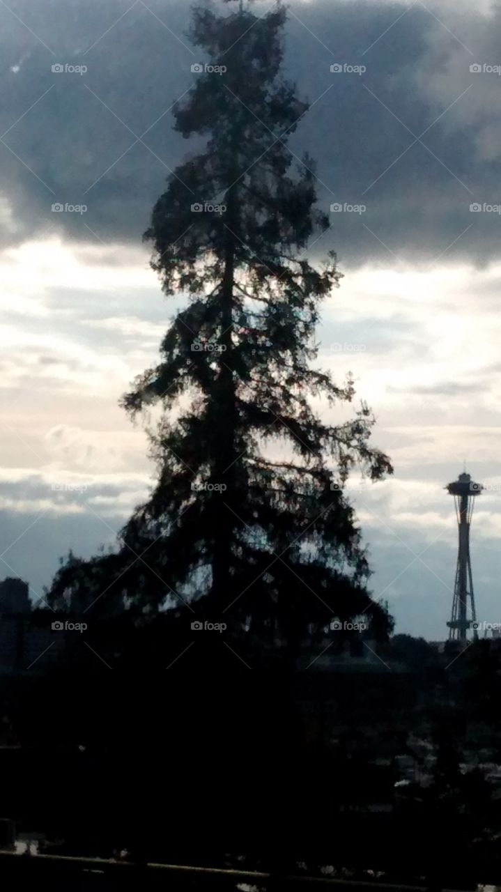 Space Needle From Highway