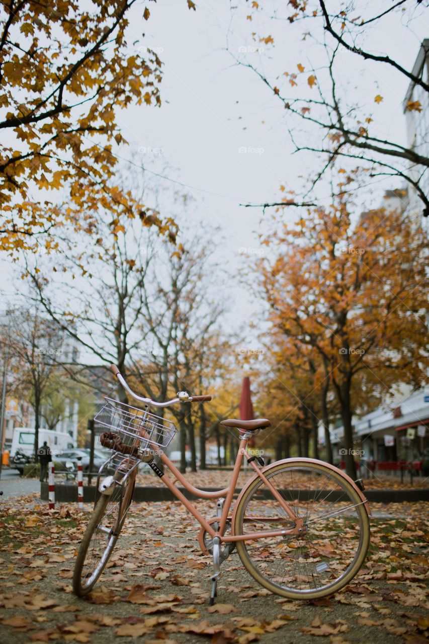 Bicycle Standing Over Fallen Leaves