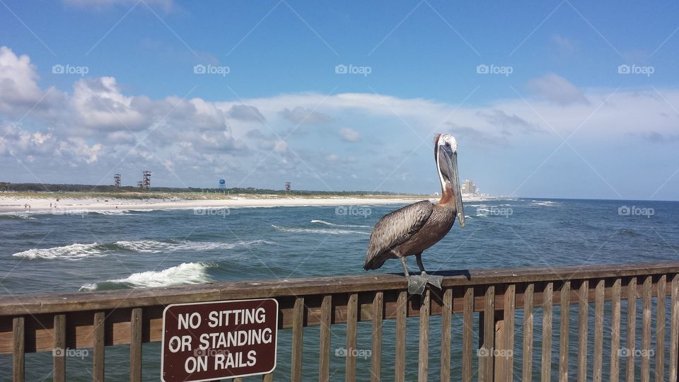 No Standing on the Rail