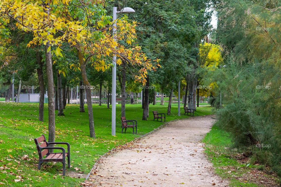 Autumn landscape in Madrid city