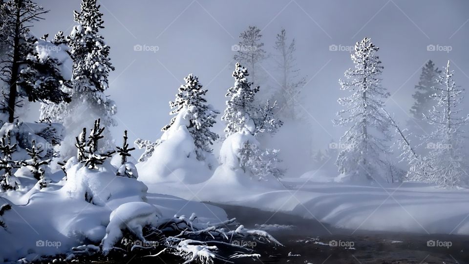 winter_river_évaporation_forest_snow