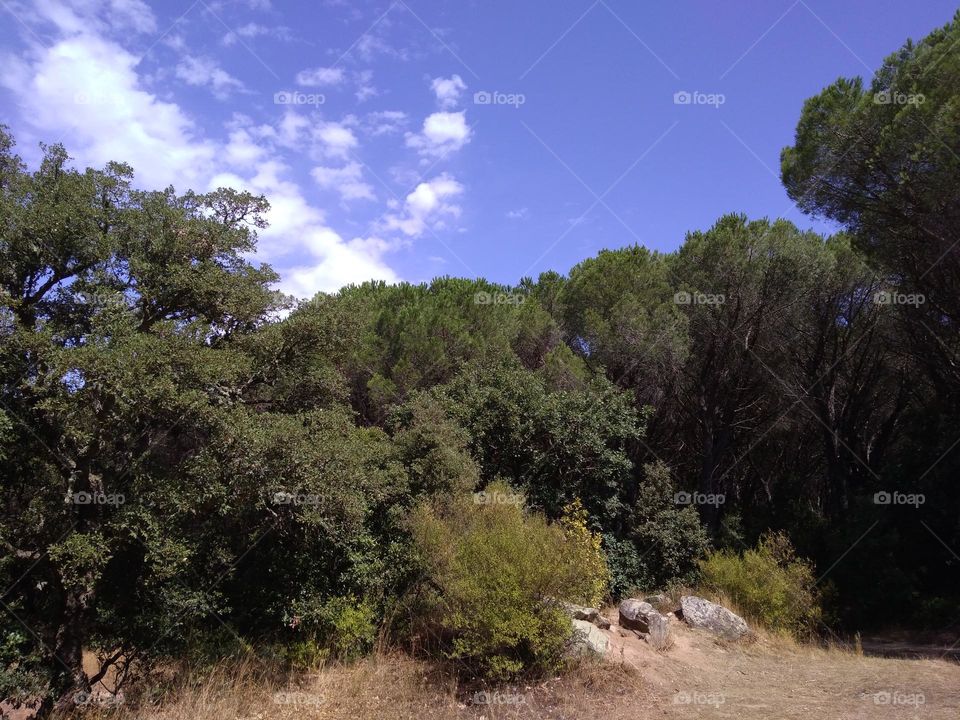 Best of 2021: Nature