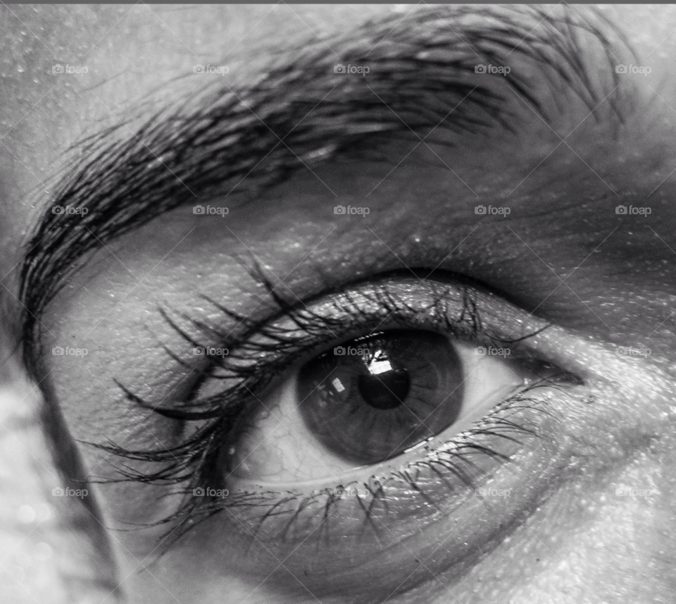 white black lashes brows by delvec