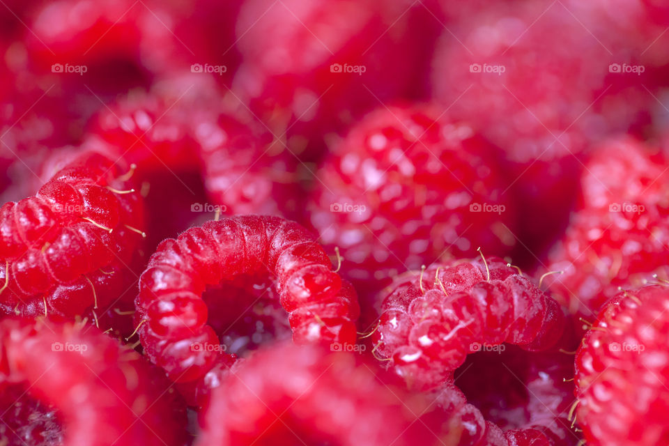 Delicious juicy raspberries