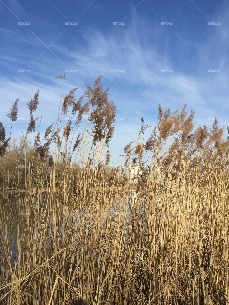 On a lake bank