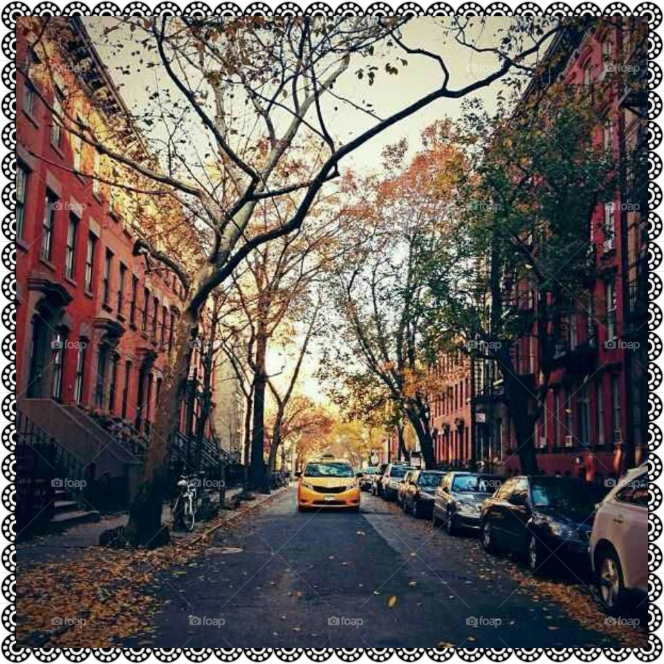 Autumn In New York City. ;)