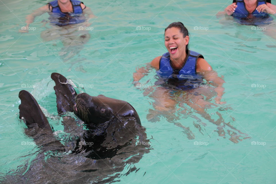 Sea lion clapping 