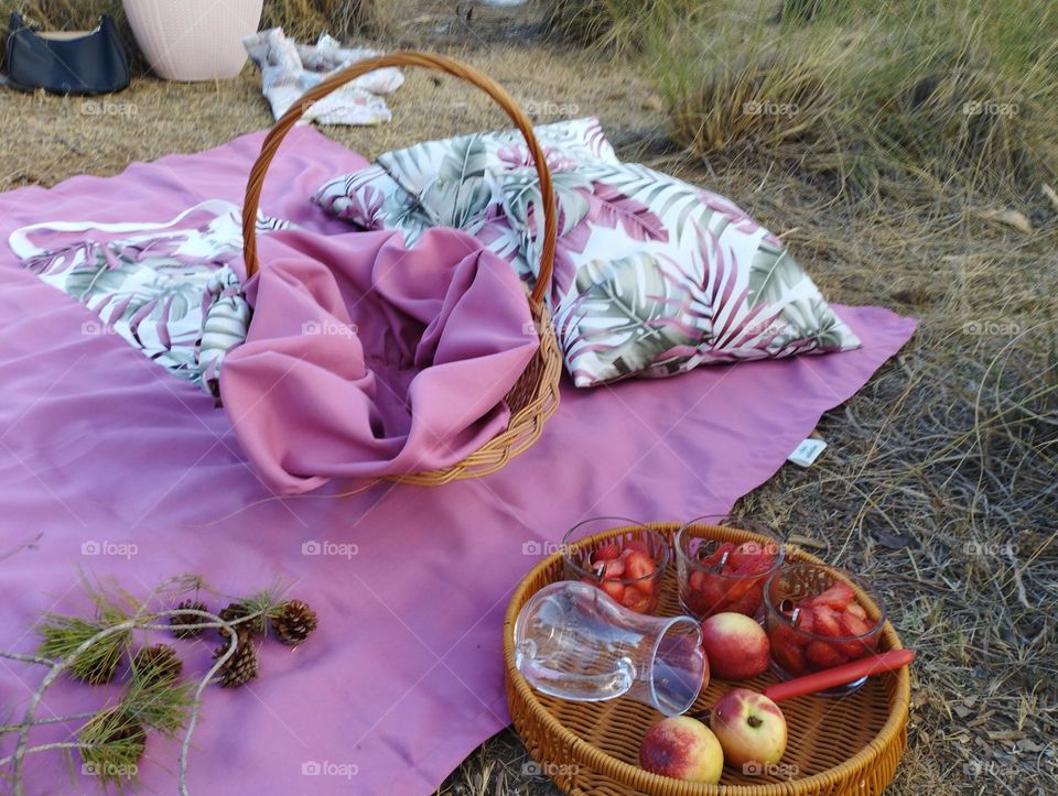 inthr forest with plants and trees